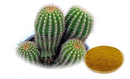 Hoodia gordoni z Reduslim